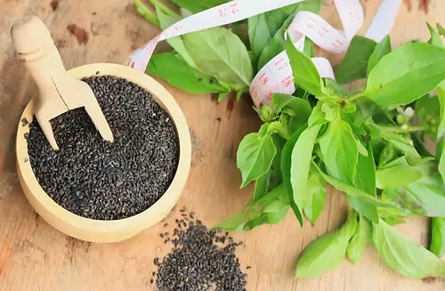 The Comprehensive Guide to Raw Basil Seeds: Nutrition, Benefits, and Usage