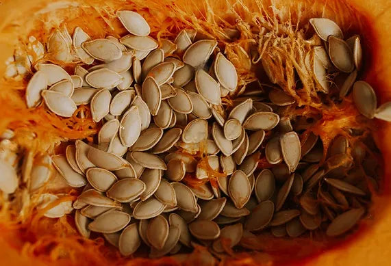 The Ultimate Guide to Pumpkin Seeds: Nutrition, Benefits, and Uses